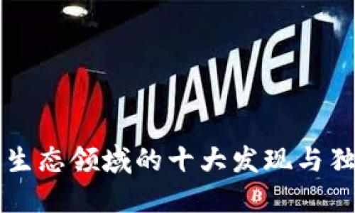 区块链生态领域的十大发现与独特特点