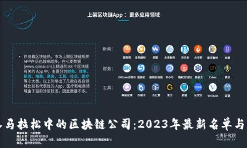 武汉马拉松中的区块链公司：2023年最新名单与分析
