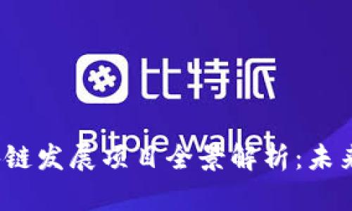 2023年区块链发展项目全景解析：未来机遇与挑战