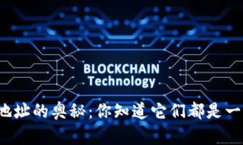 TP钱包地址的奥秘：你知道它们都是一样的吗？