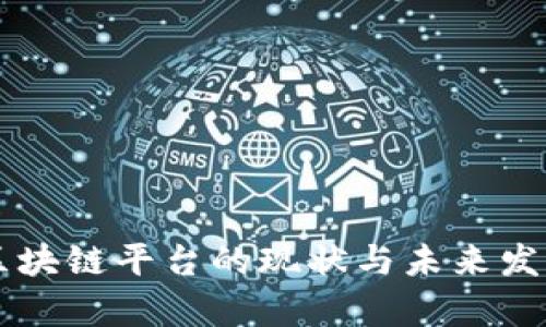 青海区块链平台的现状与未来发展分析