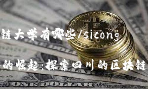 sicong四川区块链大学有哪些/sicong

四川区块链学科的崛起：探索四川的区块链相关高校与优势