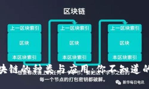 深入探讨区块链的种类与应用：你不知道的领域与机会