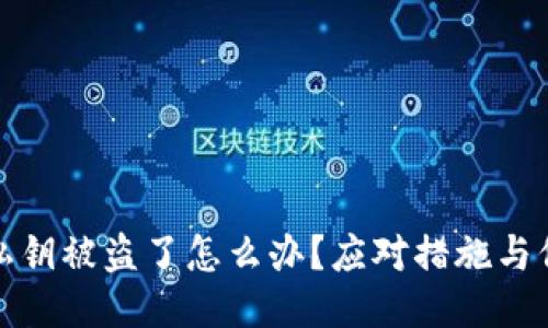 TP钱包私钥被盗了怎么办？应对措施与保护策略