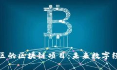 探索金丘区的区块链项目