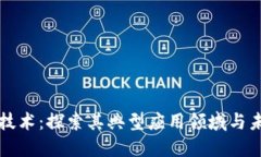 区块链技术：探索其典型