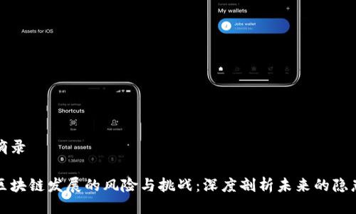 摘录

区块链发展的风险与挑战：深度剖析未来的隐患