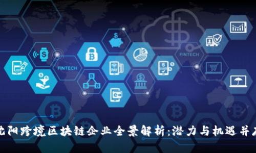 沈阳跨境区块链企业全景解析：潜力与机遇并存