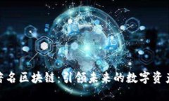 探索著名区块链：引领未