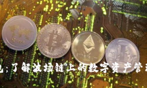 TP钱包：了解波场链上的数字资产管理工具