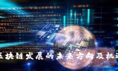 海南区块链发展的未来方