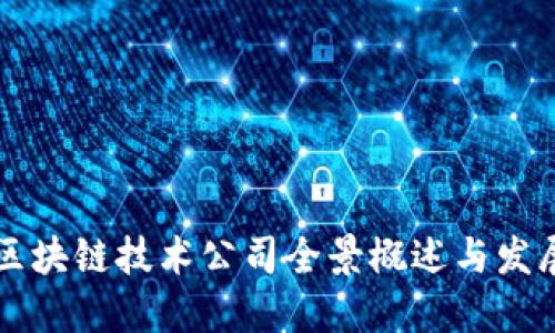 平潭区块链技术公司全景概述与发展展望