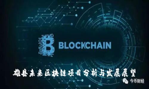 雄县未来区块链项目分析与发展展望
