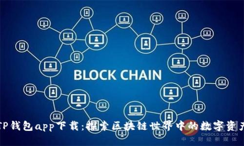 波场TP钱包app下载：探索区块链世界中的数字资产管理