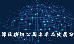 湘潭区块链公司名单及发