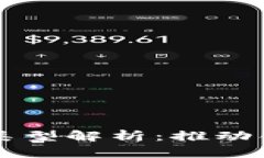 区块链最强组织类型解析