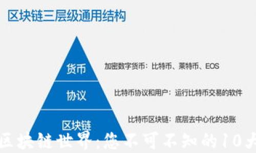 
探索区块链世界：您不可不知的10大社区