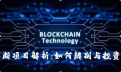 区块链垄断项目解析：如