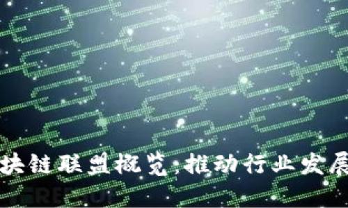 全球主要区块链联盟概览：推动行业发展的关键力量