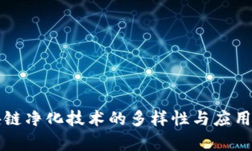 区块链净化技术的多样性与应用前景