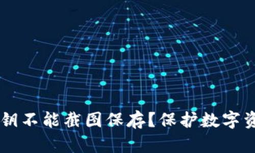 为何TP钱包私钥不能截图保存？保护数字资产的最佳实践