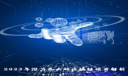 2023年潜力巨大的区块链项目解析