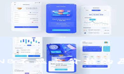 TP钱包100 BNB不显示价格的原因及解决方法