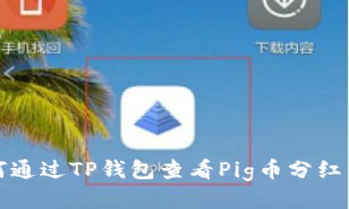 如何通过TP钱包查看Pig币分红信息
