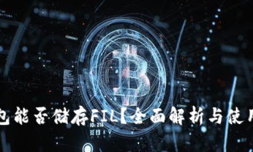 TP钱包能否储存FIL？全面解析与使用指南