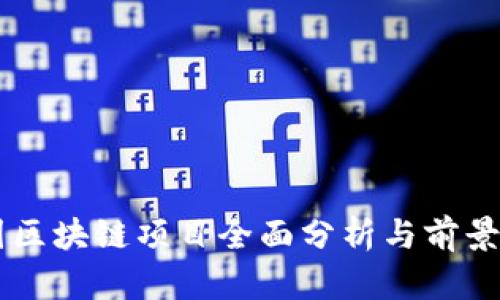 中国区块链项目全面分析与前景展望