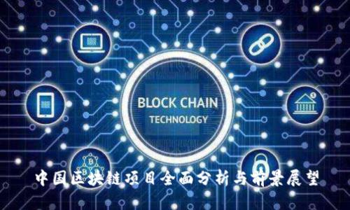 中国区块链项目全面分析与前景展望