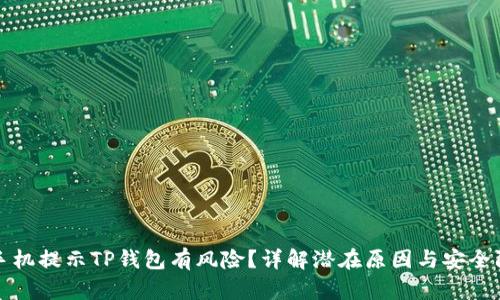为什么手机提示TP钱包有风险？详解潜在原因与安全防范措施