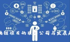 可信区块链项目的顶尖公