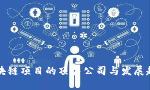 可信区块链项目的顶尖公司与发展趋势分析