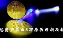 TP钱包总资产显示5万原因