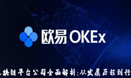 
国家区块链平台公司全面解析：从发展历程到行业应用