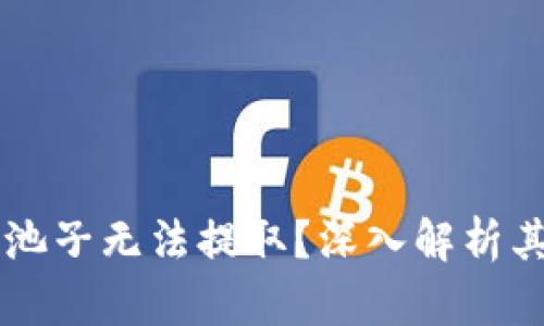 为什么TP钱包的池子无法提取？深入解析其原因与解决方案