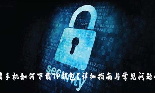 苹果手机如何下载TP钱包？详细指南与常见问题解答