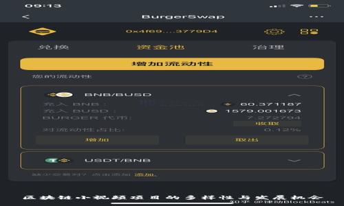 区块链小视频项目的多样性与发展机会