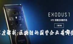 深度解析：区块链的国营