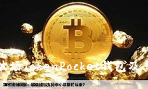 全面解析波场TokenPocket钱包及其使用技巧