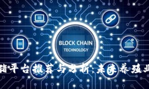 区块链养猪平台推荐与分析:未来养殖业的新机遇