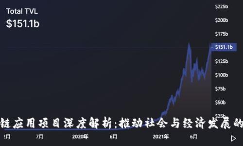 大通区块链应用项目深度解析：推动社会与经济发展的未来科技