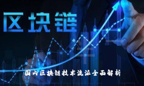 国内区块链技术流派全面解析