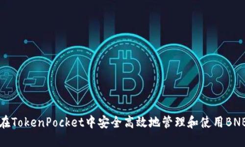 如何在TokenPocket中安全高效地管理和使用BNB资产