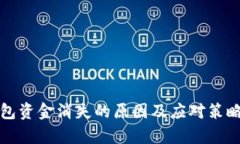 TP钱包资金消失的原因及应对策略解析