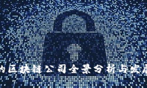 武汉的区块链公司全景分析与发展趋势