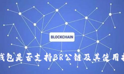 TP钱包是否支持BR公链及其使用指南