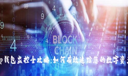 tp钱包监控全攻略：如何有效追踪您的数字资产