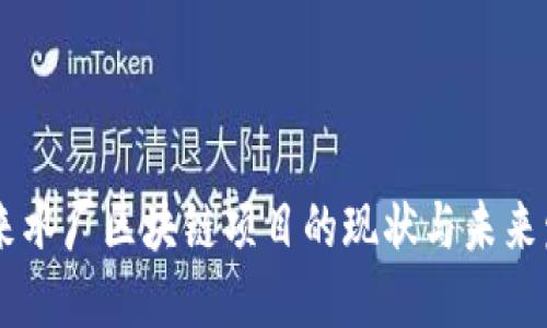 自来水厂区块链项目的现状与未来发展